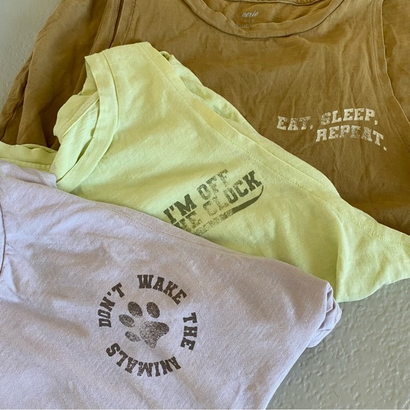 aerie Tops - Aerie American Eagle Sleeveless Graphic Tee Bundle